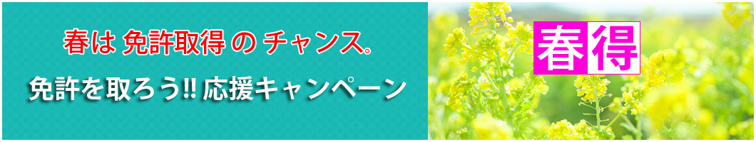お勧めプラン