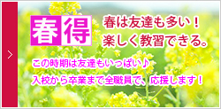 お勧めプラン