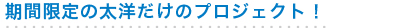 期間限定の太洋だけのプロジェクト！